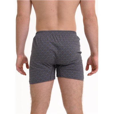 Мужские трусы семейные Oztas