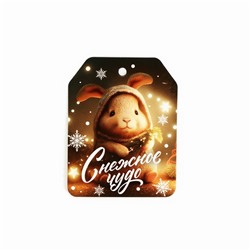 Шильдик новогодний на подарок «Чудо обязательно случится!», набор 6 штук, 16 х 24 см