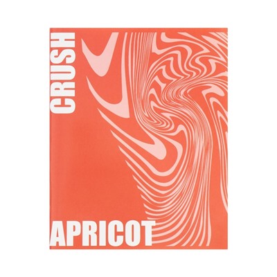 Тетрадь 96 листов в клетку Calligrata Apricot Crush, обложка мелованный картон, глянцевая ламинация, блок офсет МИКС