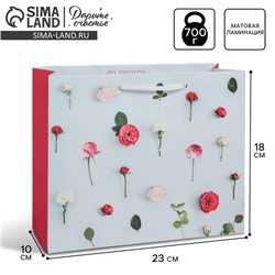 Пакет подарочный ламинированный, упаковка, «Ты прекрасна», MS 18×23×8 см