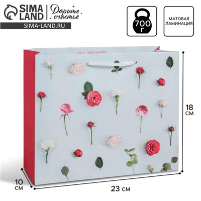 Пакет подарочный ламинированный, упаковка, «Ты прекрасна», MS 18×23×8 см