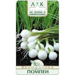 Лук на зелень и мини-головку Помпеи