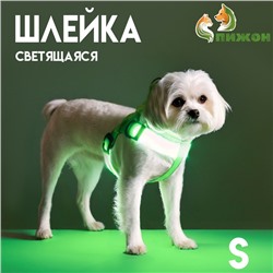Шлейка светящаяся размер S, стропа 2,5 см, ОГ 32-40 см, 3 режима свечения зелёная