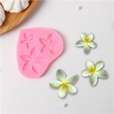 Молд Доляна «Плюмерия», силикон, 9×8×0.8 см, розовый