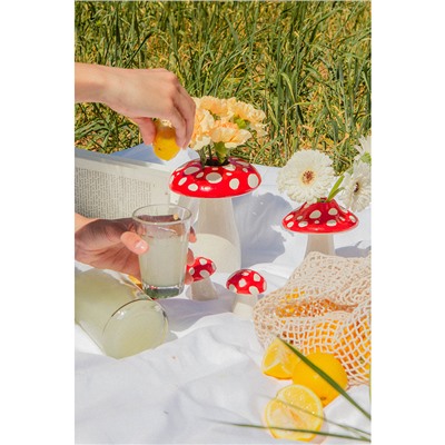 Ваза для цветов Amanita, 19 см