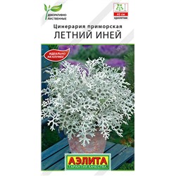 1675 Цинерария Летний Иней 0,1гр
