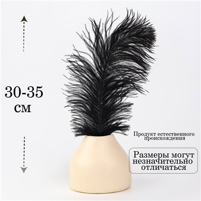 Перо для декора, размер: 30-35 см, цвет чёрный