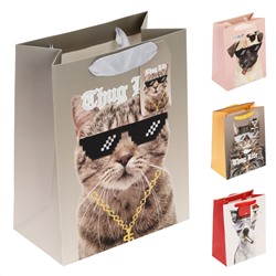 Пакет подарочный 18*23*10 Boss KARIIOU 210г/м2 ассорти КОКОС 212799/12/Китай