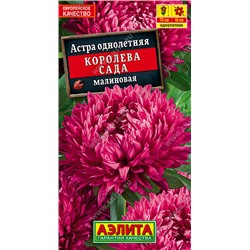 1094 Астра Королева сада малиновая 0,2гр