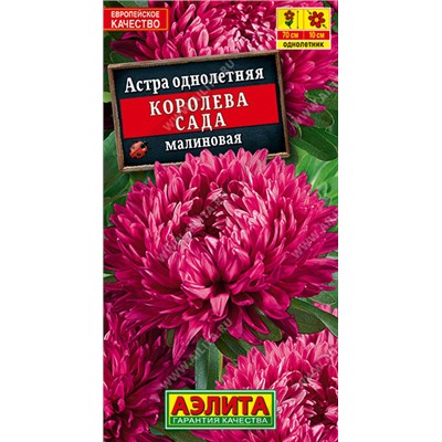 1094 Астра Королева сада малиновая 0,2гр