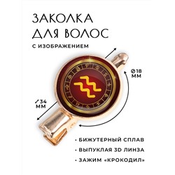HZF-0303 Заколка Знаки Зодиака - Водолей