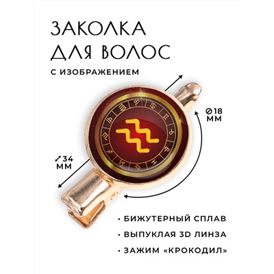 HZF-0303 Заколка Знаки Зодиака - Водолей