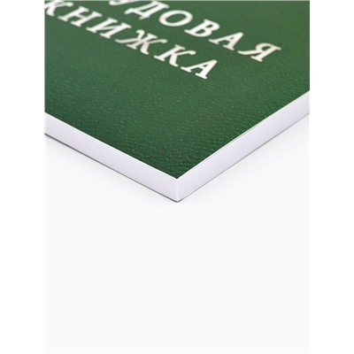Ежедневник А5, 80 листов в тонкой обложке «Трудовая книжка»
