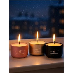 Набор свечей в мини-формате SF "Caramel", "Basil + Mint", "Leather", 3 шт х 50г