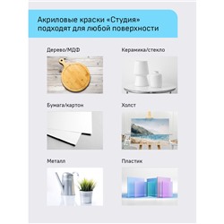 Краски акриловые художественные Гамма "Студия", 12цв., 9мл/туба, картон. упаковка