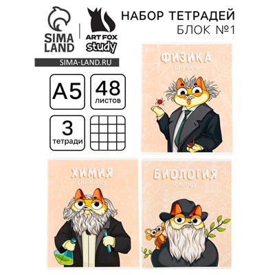 Тетради предметные, 48 л., А5, набор из 3 шт. «КОТэ»
