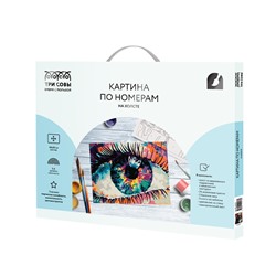 Картина по номерам на холсте ТРИ СОВЫ "Волшебство взгляда", 40*50, с акриловыми красками и кистями