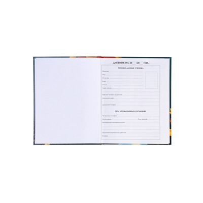 Дневник школьный для 1-11 классов, «Школа», твёрдая обложка 7БЦ, глянцевая ламинация, 40 листов