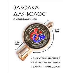 HZF-0151 Заколка Семья это