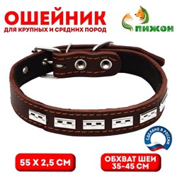 Ошейник кожаный на синтепоне, украшенный, 55 х 2.5 см, ОШ 35-45 см, коричневый