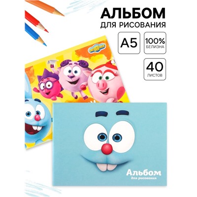 Альбом для рисования А5, 40 листов на скрепке, МИКС, «Смешарики», 2 шт.