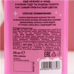 Гель для душа «Дед - Мороз, а ты Баба-огонь!», 250 мл, аромат малины и пионов, Чистое счастье