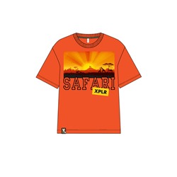 Футболка для мальчика