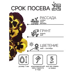 Семена Виола "Барон Махагон", ц/п,  F1, 5 шт.