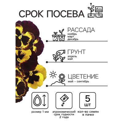 Семена Виола "Барон Махагон", ц/п,  F1, 5 шт.