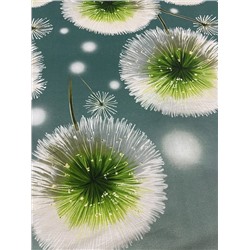 Постельное белье поплин Иваново / Воздушный танец