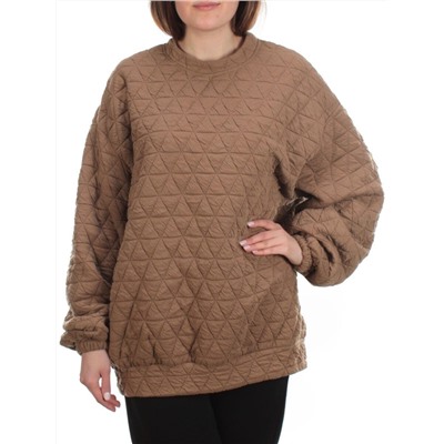 2779 BROWN Толстовка женская