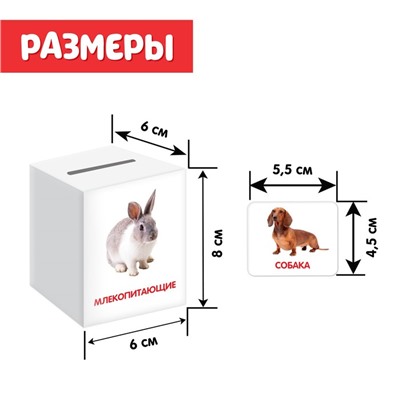 Сортер-копилка «Животные» по методике Г. Домана