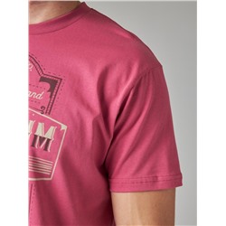 Футболка мужская арт. 02285/Denim