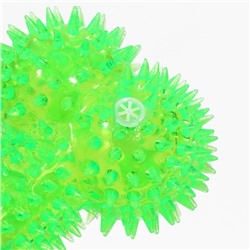 Игрушка для собак «Светящаяся кость», TPR, 10.5 см, зелёная