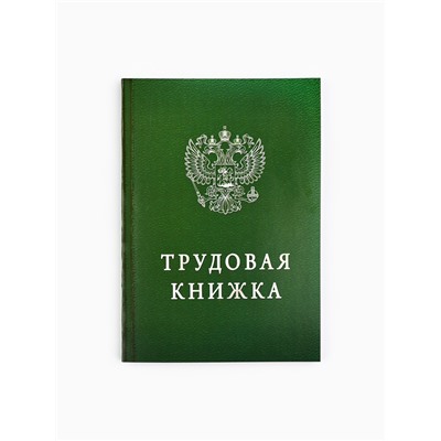 Ежедневник А5, 80 листов в тонкой обложке «Трудовая книжка»
