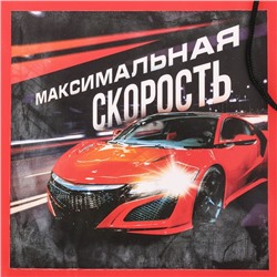 Мешок для обуви «Максимальная скорость» 40×30 см