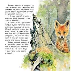 Познаем мир вокруг нас «Приключения лисенка»