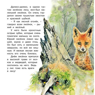 Познаем мир вокруг нас «Приключения лисенка»