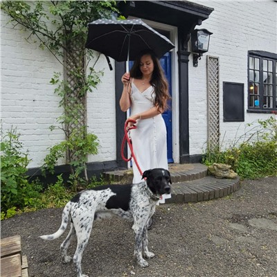 L501-4479 SmileySpot (Смайлы) Зонт женский механика Fulton