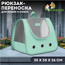 Рюкзак-переноска для кошек и собак, 35 х 30 х 26 см, голубой
