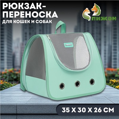 Рюкзак-переноска для кошек и собак, 35 х 30 х 26 см, голубой