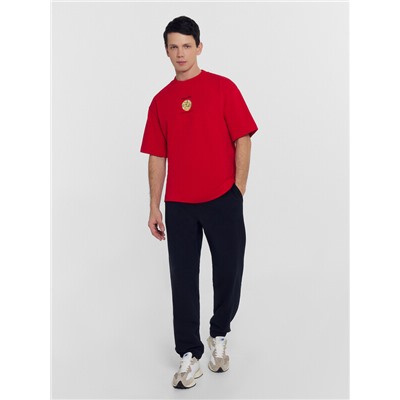 БРЮКИ МУЖСКИЕ 181256