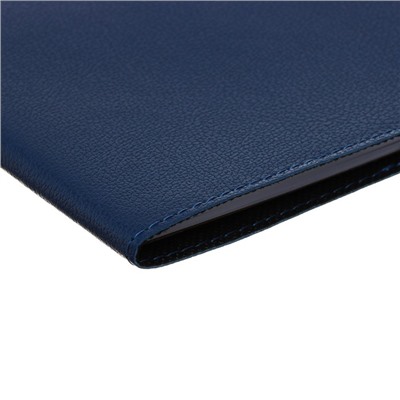 Дневник школьный для 1-11 классов Blue, мягкая обложка, искусственная кожа, термо тиснение, ляссе, 80 г/м²