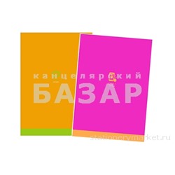 Тетрадь 80л., А4, клетка BG "Monocolor. Chat", неоновые краски