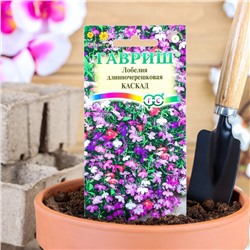 Семена цветов Лобелия "Каскад", ампельная, О, смесь 0,01 г