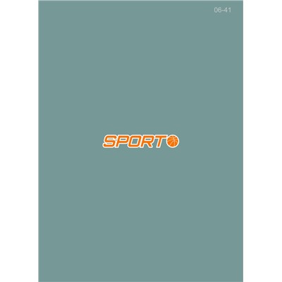 06-41 Термотрансфер Надпись Спорт (англ) оранжевая 10х1,5см
