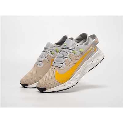 Кроссовки Nike Pegasus Trail 2