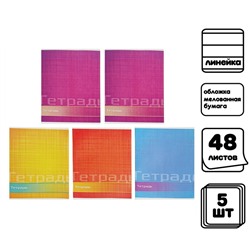 Комплект тетрадей из 5 штук (4 разные + 1 повторяющаяся), 48 листов в линию Calligrata "Цвет и графика", обложка мелованная бумага, блок №2, белизна 75% (серые листы)