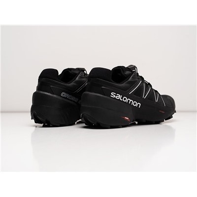 Кроссовки Salomon SPEEDCROSS 5 GTX