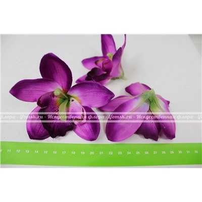 Головка орхидея цимбидиум крупная (упаковка 20 штук)